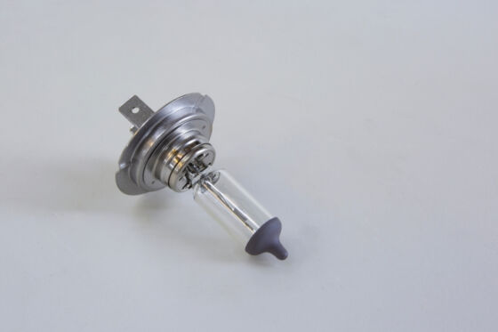 H7 bulb