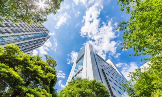 A clean and green city