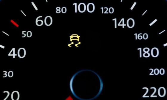 Traction control system indicator light