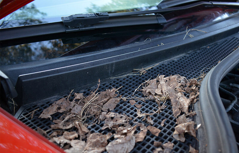 Natural dirt - glass