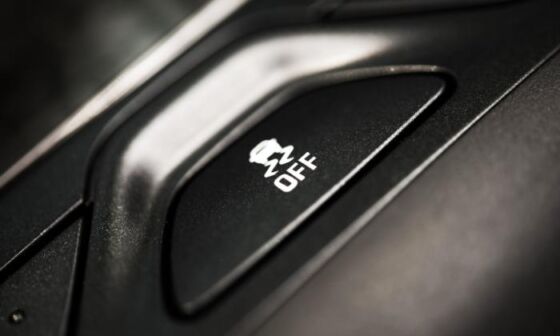 Traction control system button